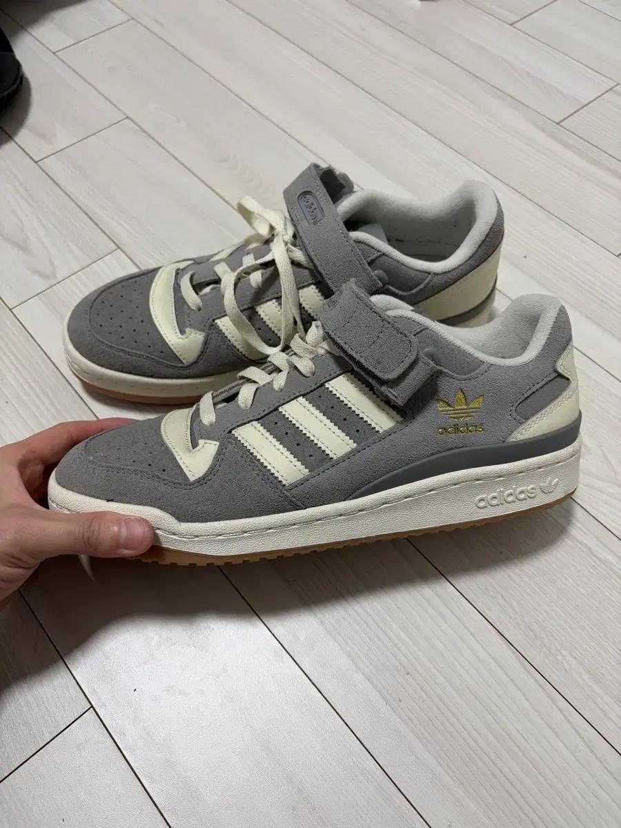 아디다스 포럼 로우 회색 270