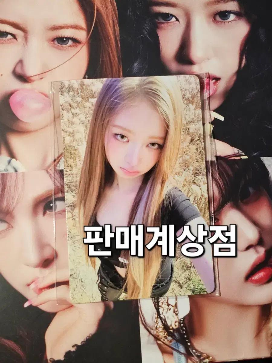 아이브 레이 BANG BANG 공방포카