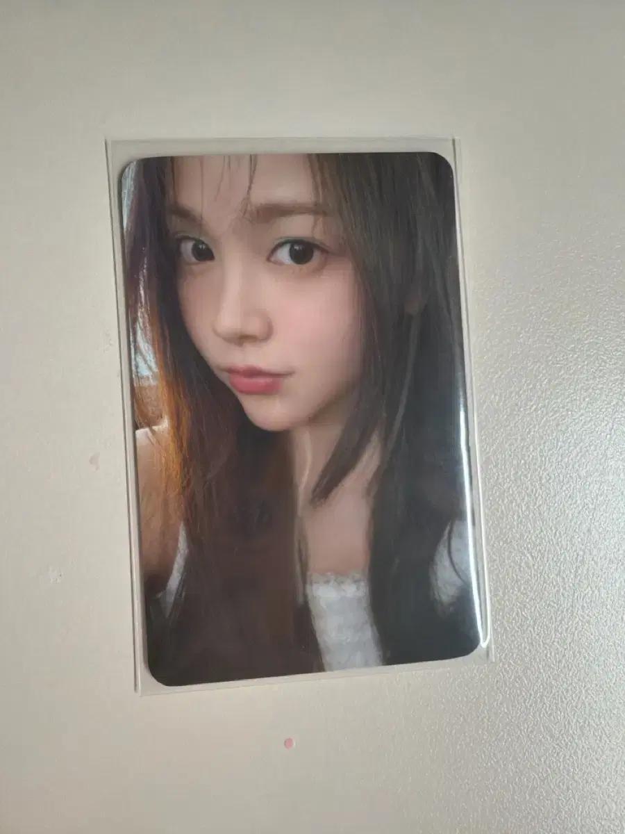 하츠투하츠 카르멘포카