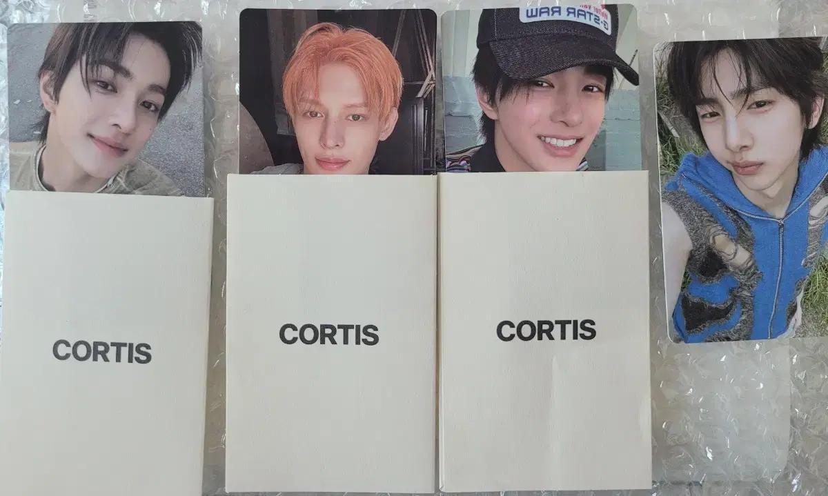 cortis 코르티스 포카 제임스 건호 주훈