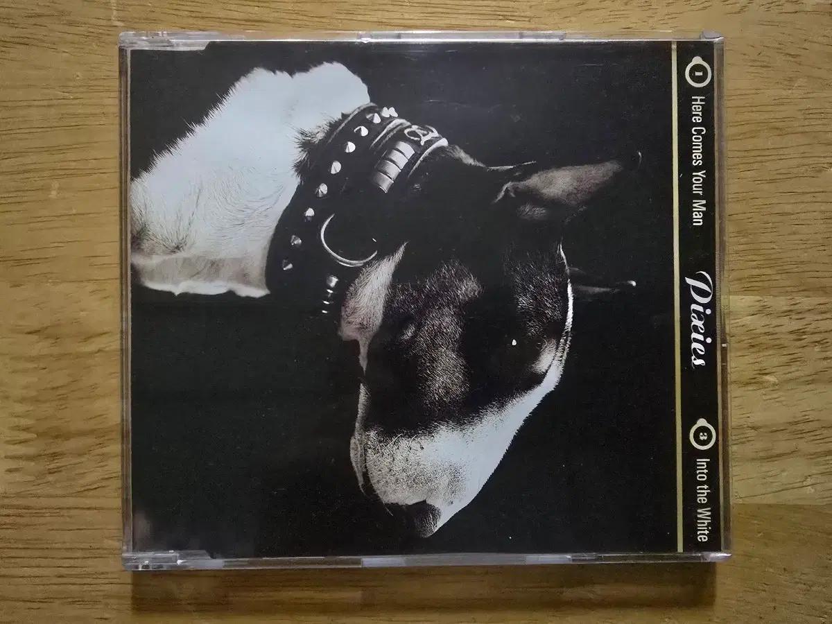 CD 음반 PIXIES 픽시스 -Here Comes Your Man