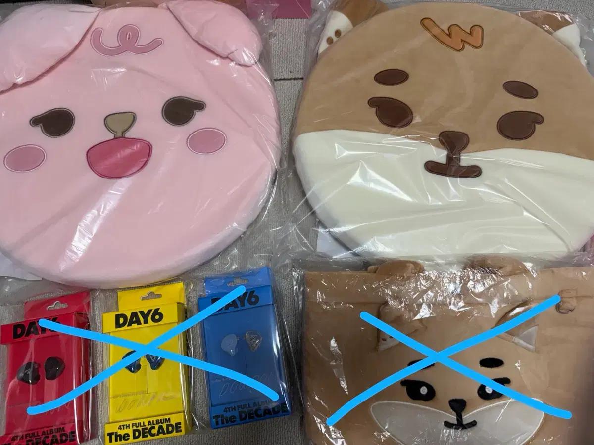 데이식스 방석 케필