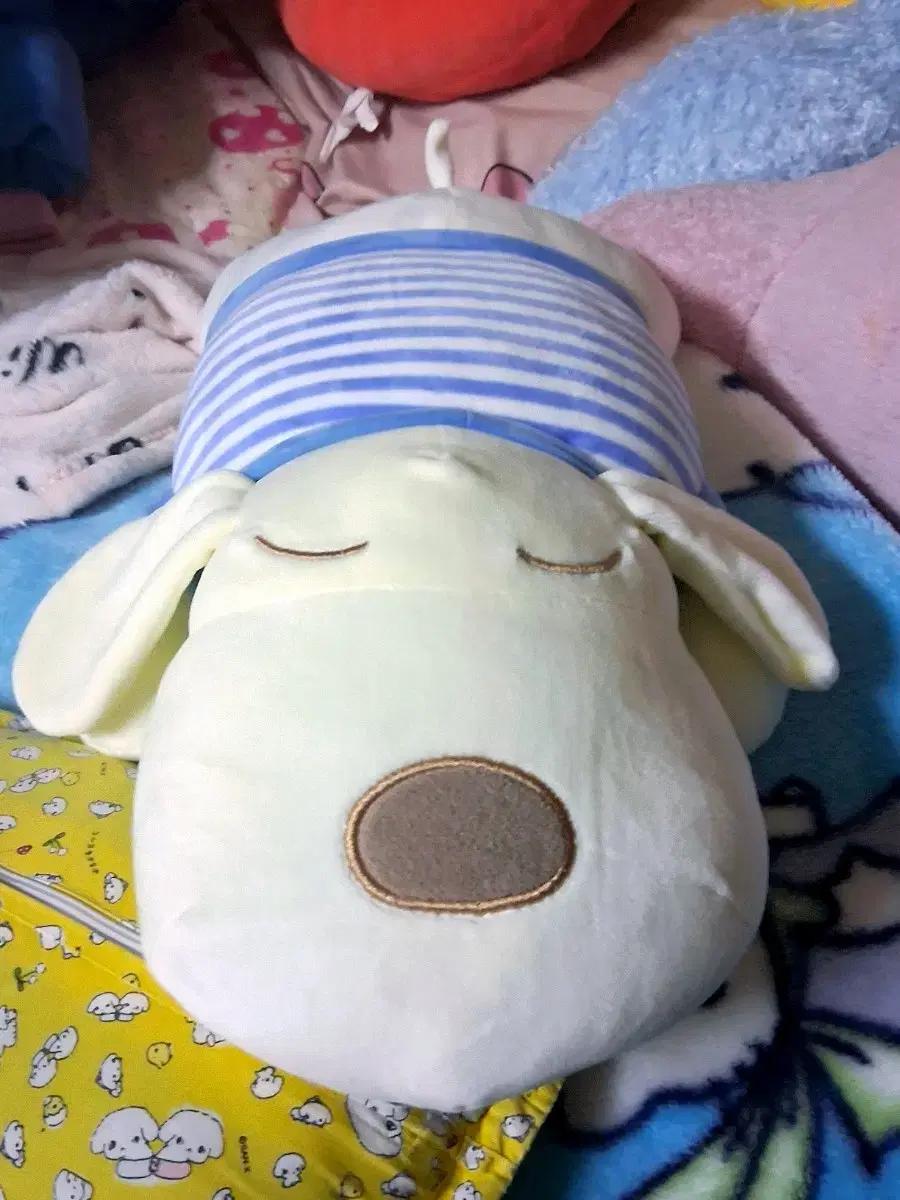 다이소 강아지 인형