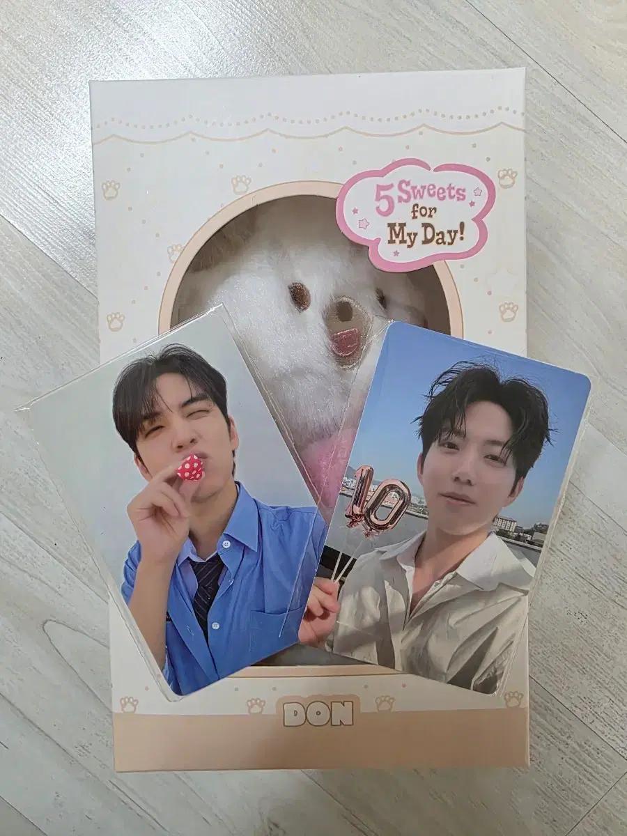 데이식스 쁘띠멀즈 보이스키링 돈 포카 일괄