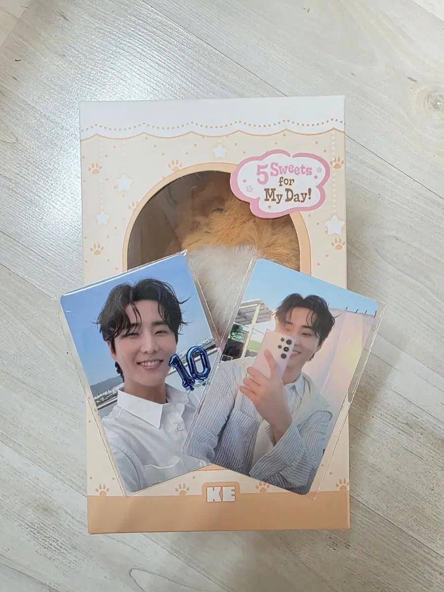 데이식스  쁘띠멀즈 보이스키링 케 포카 일괄