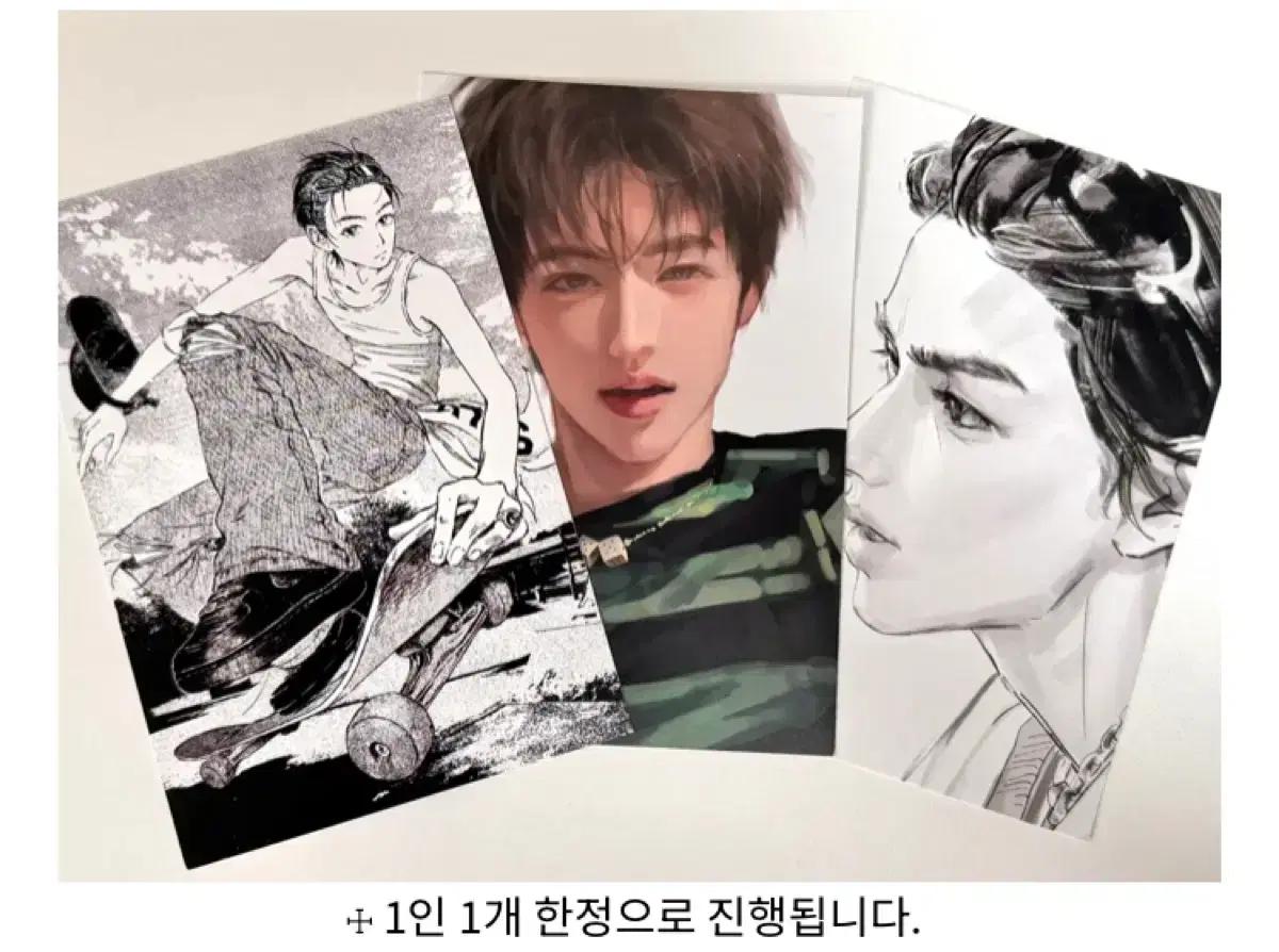 코르티스 엄성현 엽서 아이디카드 생카 생일카페 cortis 언디파인드