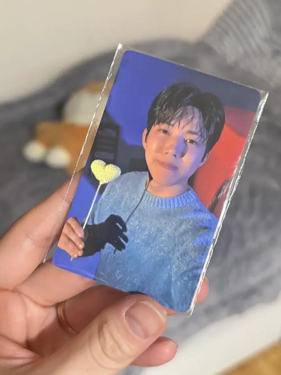 데이식스 5만원 포카 교환