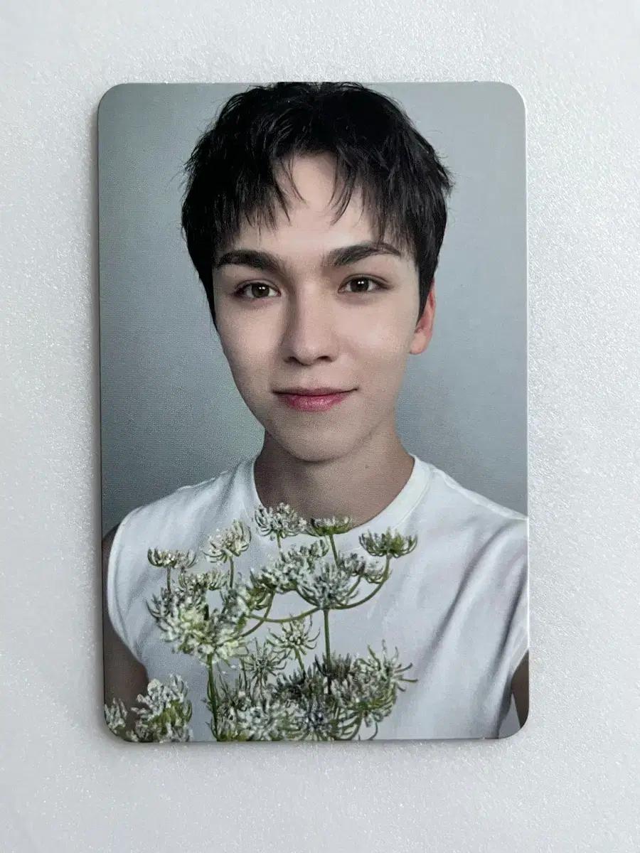 버논 17 IS RIGHT HERE VER.DEAR