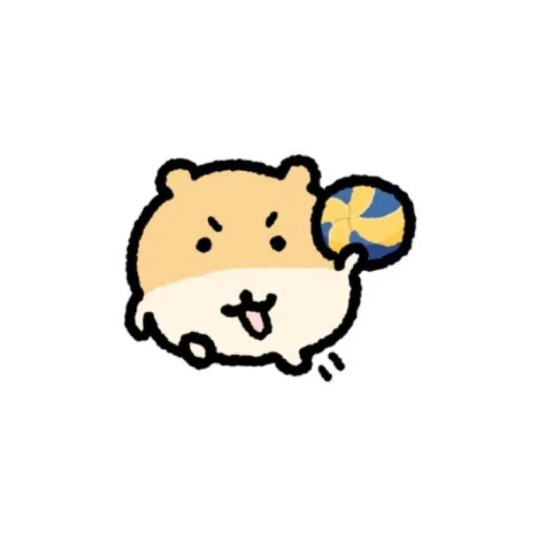 msd 여아 헤드 구해요!