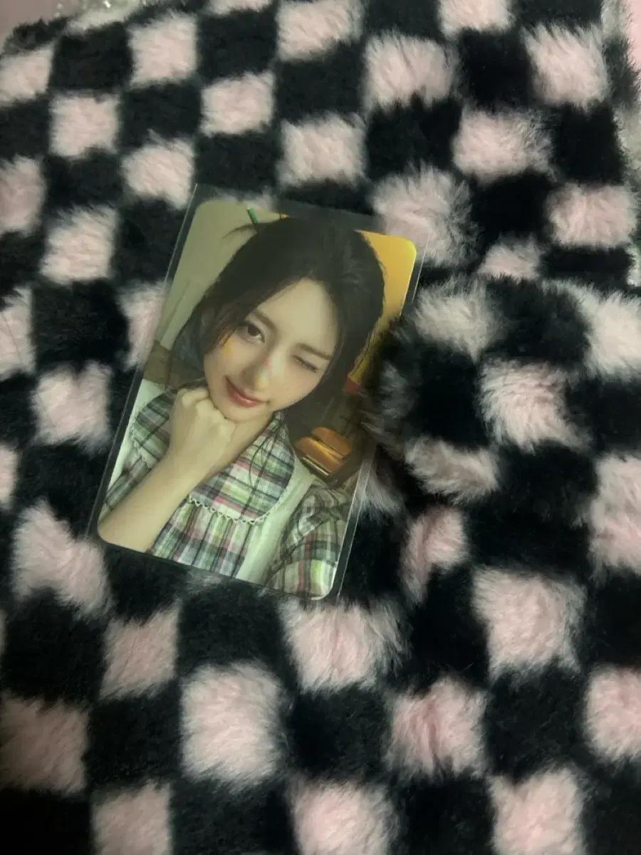 아이브 가을 2025 시그 포카 팔아요