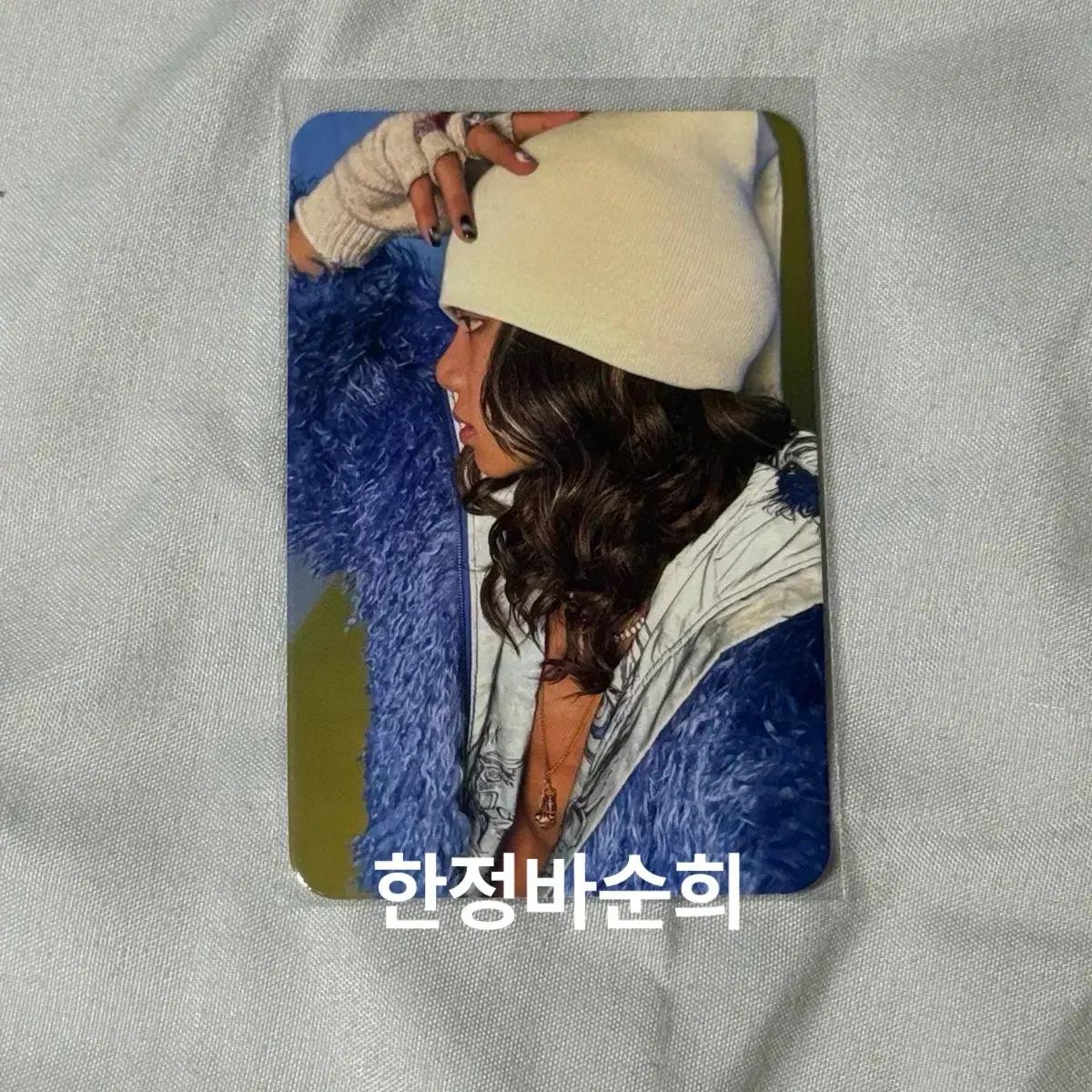 올데이프로젝트 타잔 뮤직플랜트 미공포
