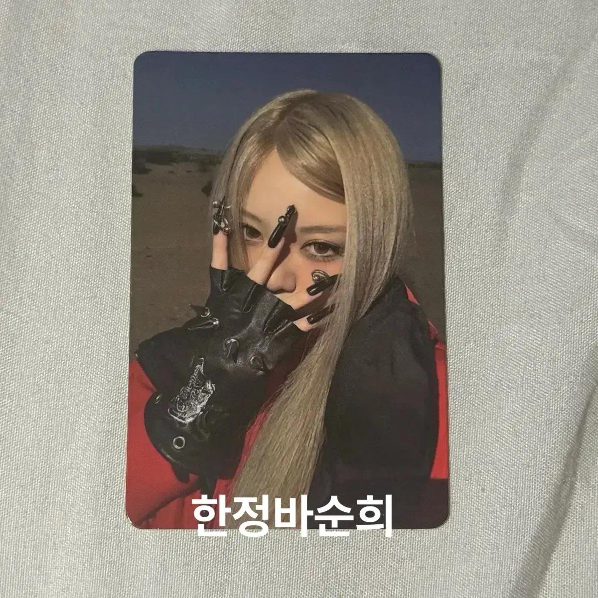 올데이프로젝트 베일리 포카