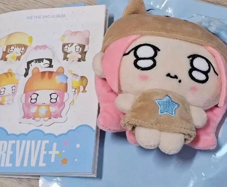 <초 최저가> 아이브 쁘띠브 가을 )
