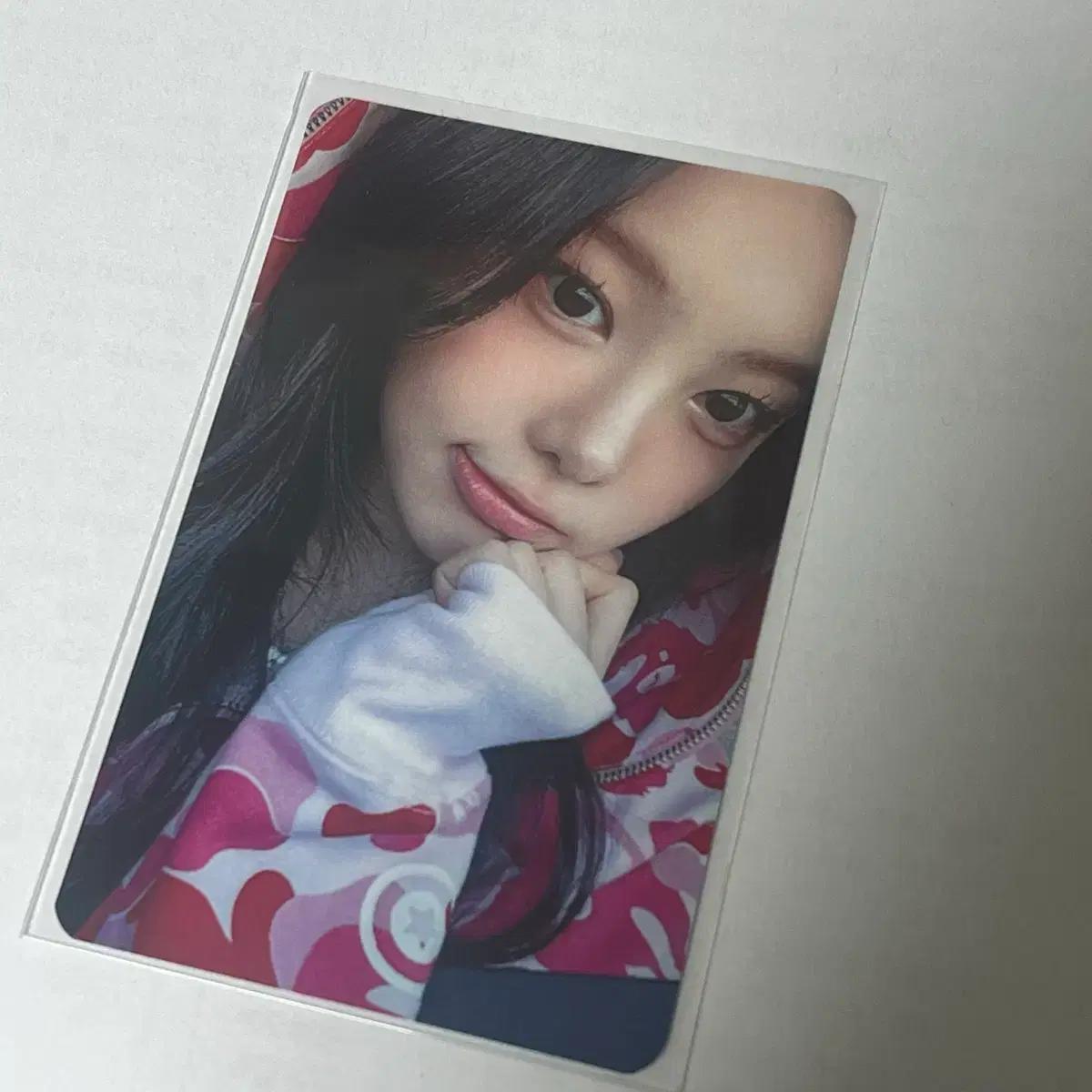 하츠투하츠 하투하 이안 포커스 인터아시아 포카 럭드 미공포