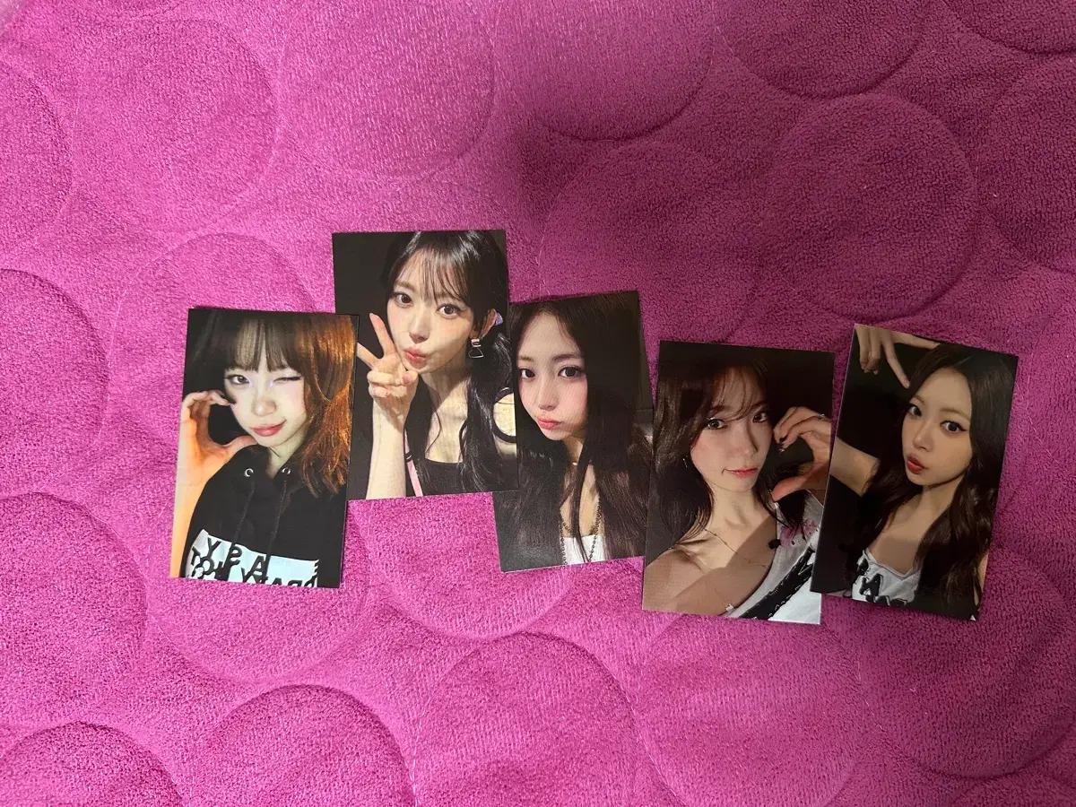 르세라핌 피어나존 포카 일괄판매