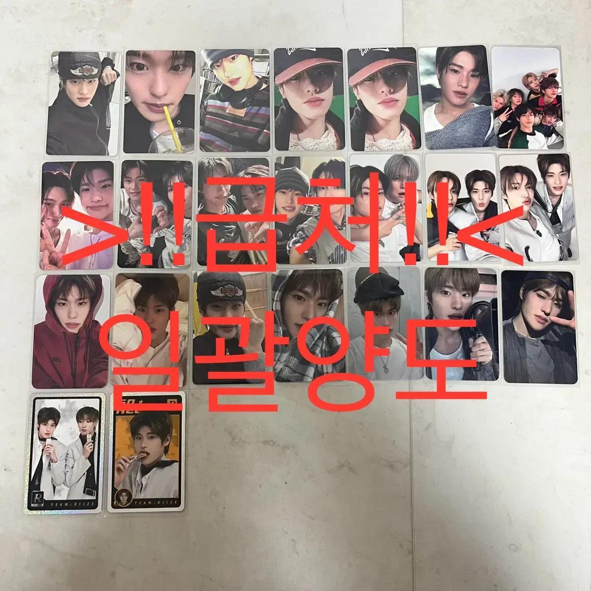 ( !급처! )라이즈 riize 소희 포카 일괄 양도 미공포 럭드 트레카