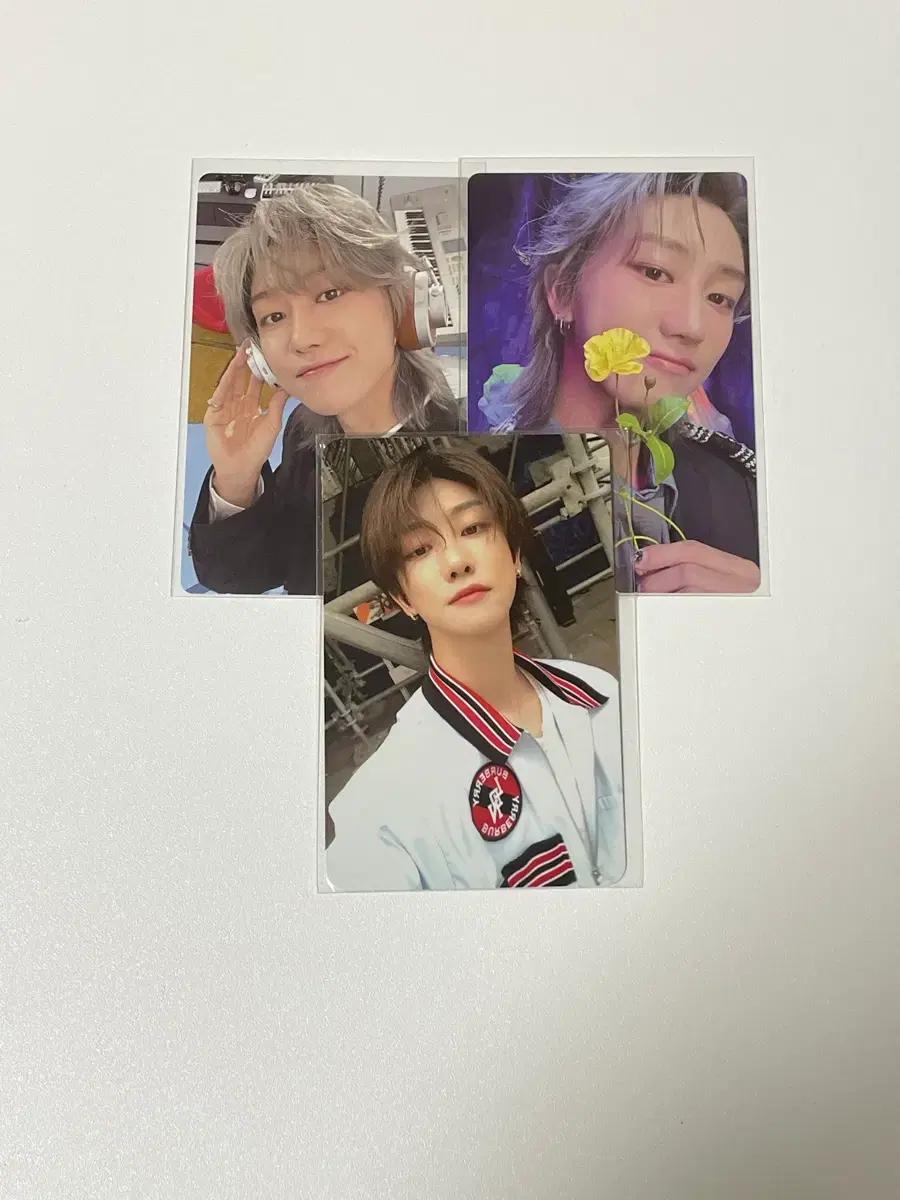 세븐틴 디에잇 포카