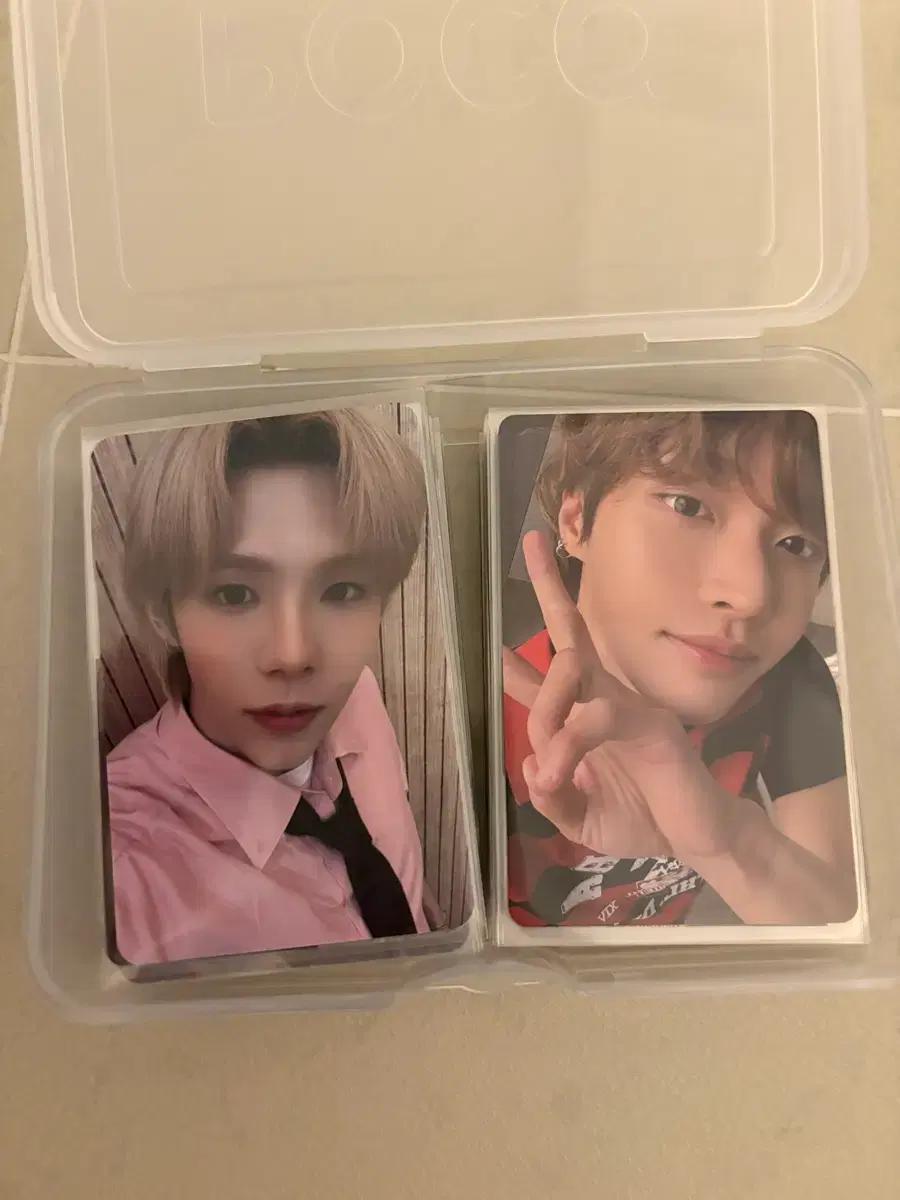 라이즈 포토카드 47장