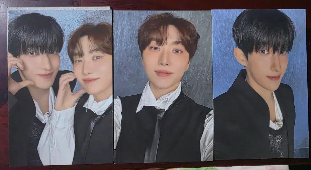 세븐틴 메보즈 DxS 셔츠 엠디 포카 일괄
