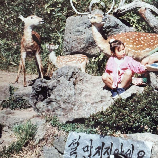이하소 (YIHASO) - 정규앨범 1집 [지나고 보니 사랑이었던 것들]