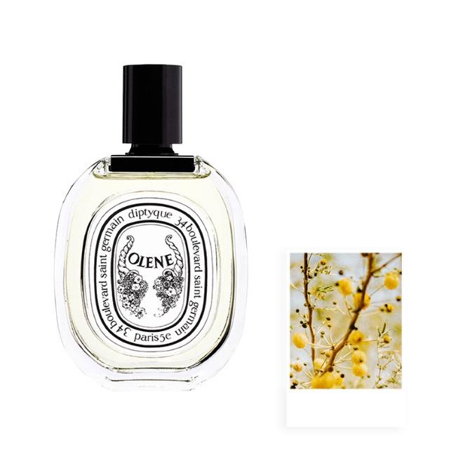딥디크 올렌느 오 드 뚜왈렛 50ml