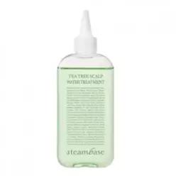 스팀베이스 티트리 스칼프 워터 트리트먼트 지성두피, 250ml, 1개