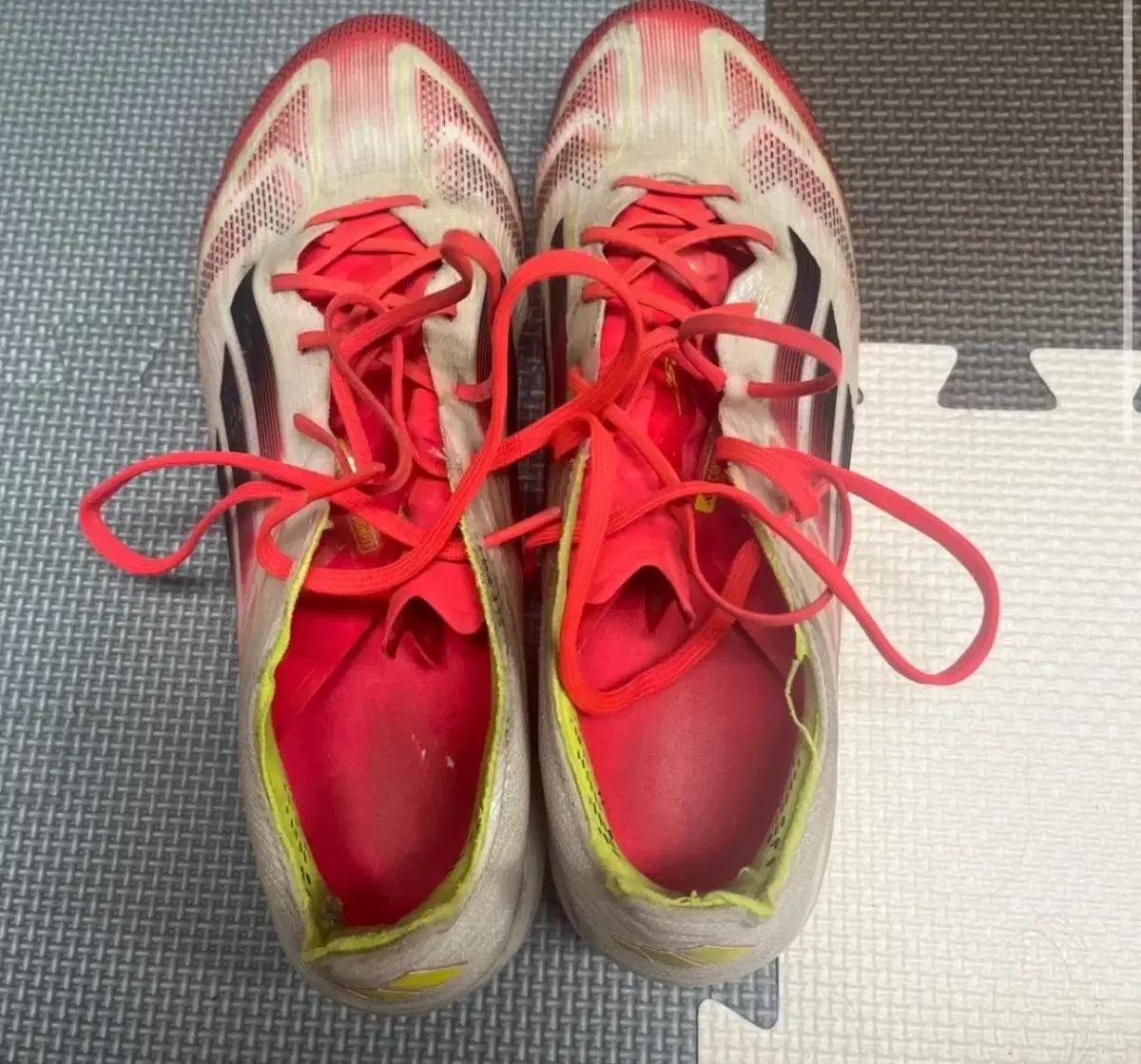 아디다스 f50 엘리트 260