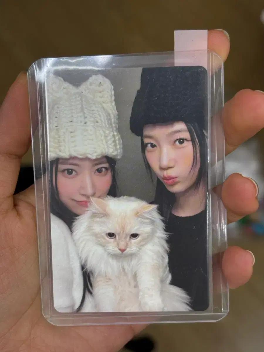 르세라핌