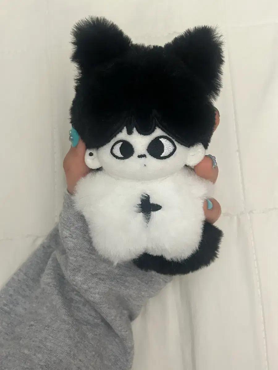 트레저 아사히 인형 쫗쿤