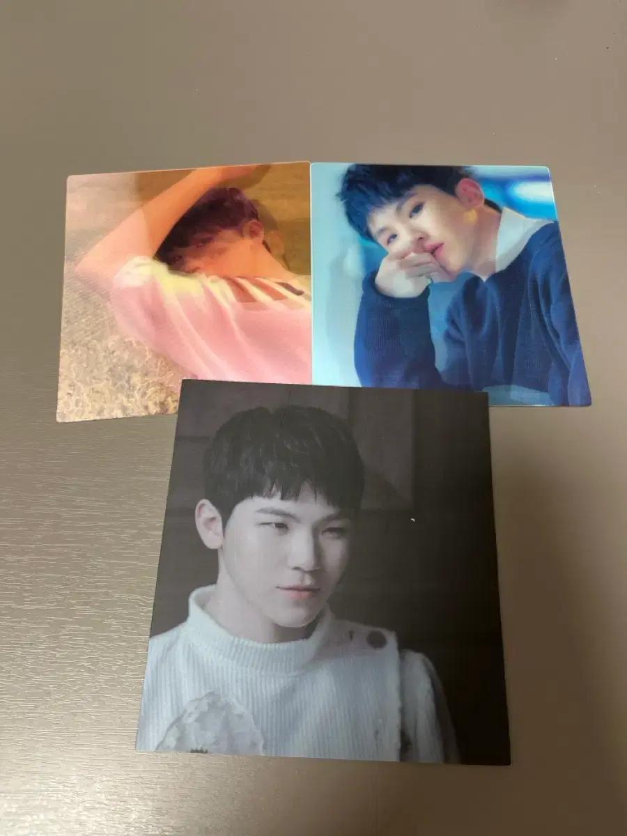 세븐틴 우지 홈 랜트큘러