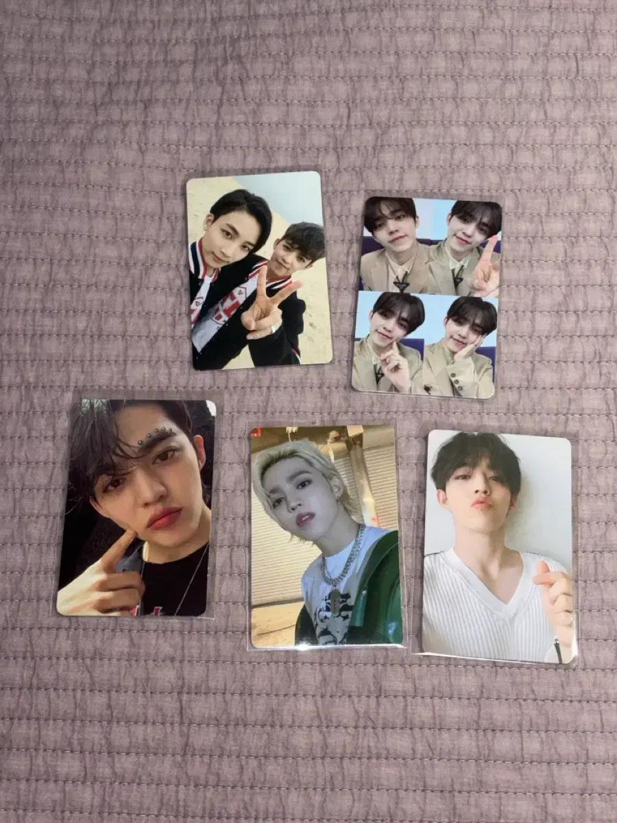 세븐틴 최승철 에스쿱스 포토카드 포카