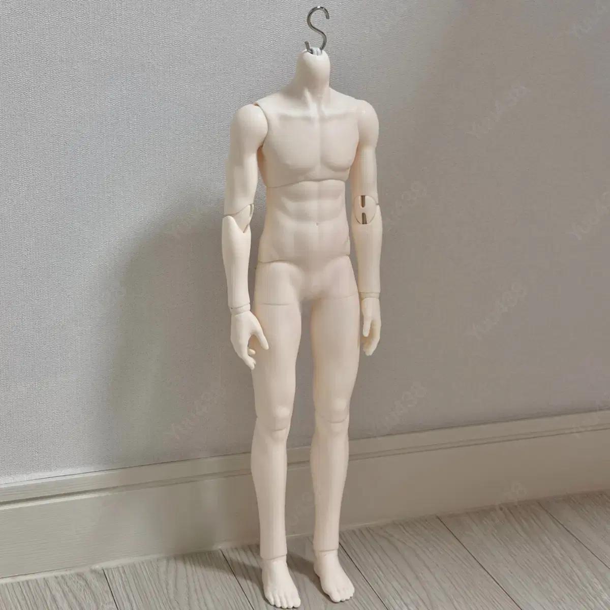 루츠 모델델프 바디 구체관절인형msd