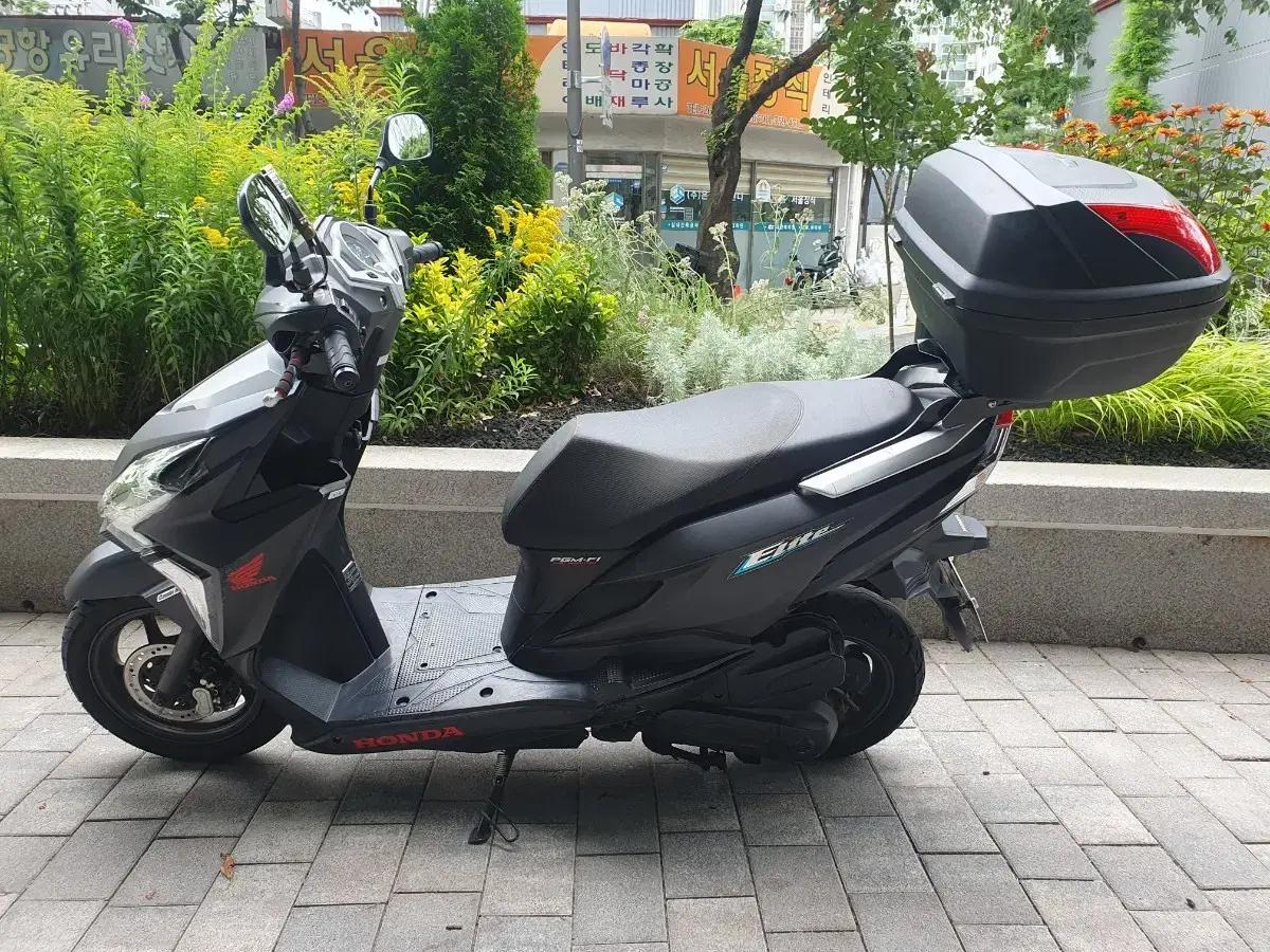 혼다 엘리트 125cc 블랙 스쿠터 양천구